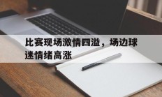 比赛现场激情四溢，场边球迷情绪高涨