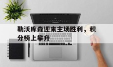 勒沃库森迎来主场胜利，积分榜上攀升的简单介绍