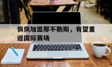 佩佩加盟那不勒斯，有望重返国际赛场的简单介绍