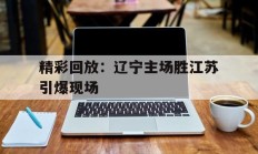 精彩回放：辽宁主场胜江苏引爆现场的简单介绍