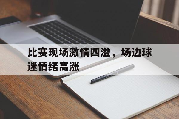 比赛现场激情四溢，场边球迷情绪高涨