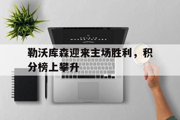 勒沃库森迎来主场胜利，积分榜上攀升的简单介绍