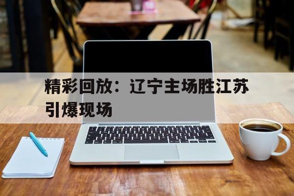 精彩回放：辽宁主场胜江苏引爆现场的简单介绍